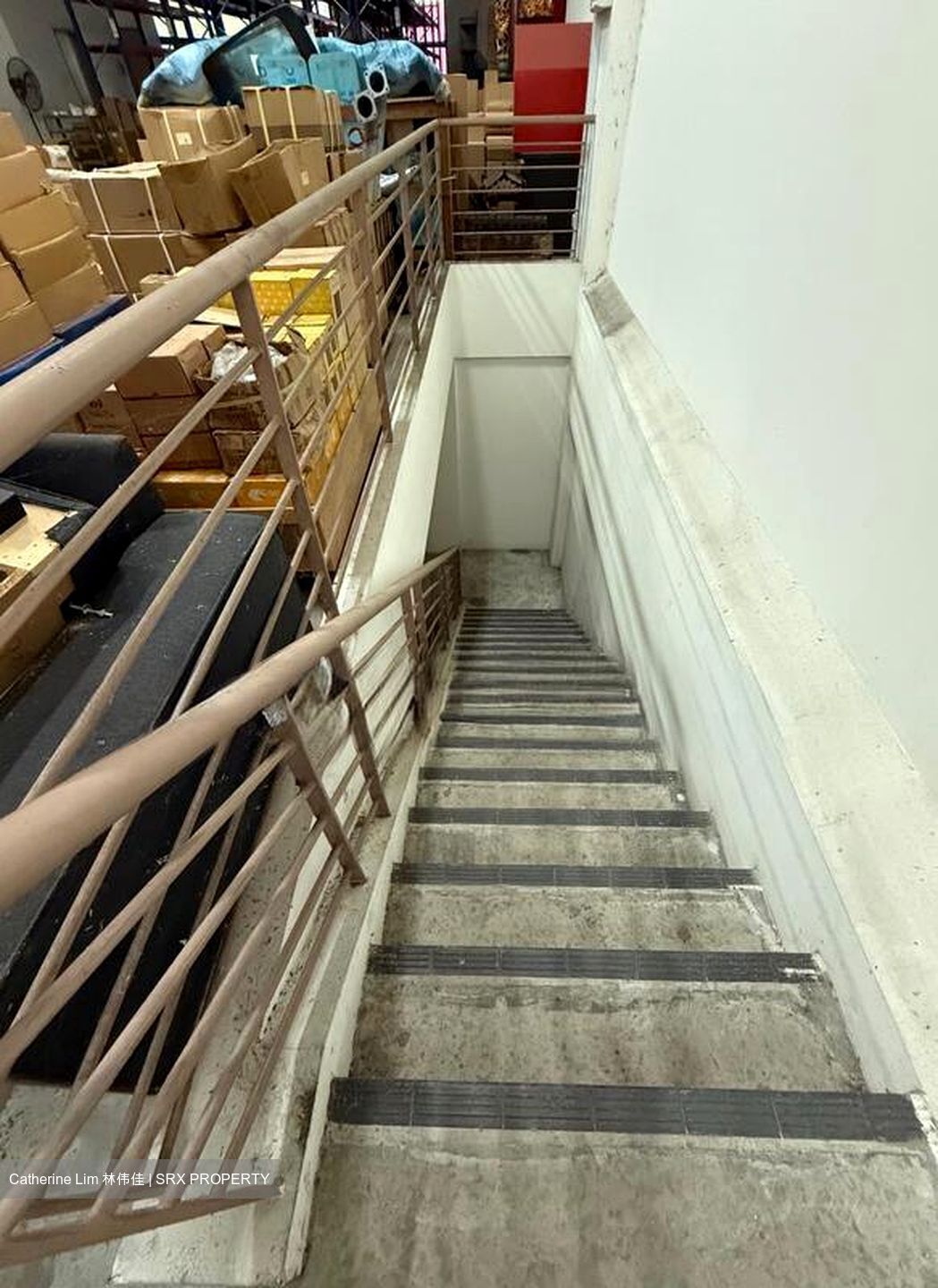 Focus One (D14), Factory #496205391